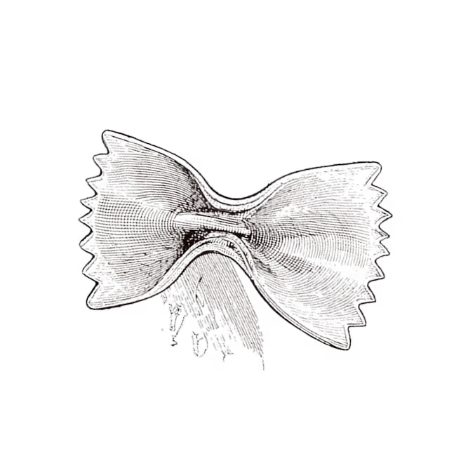 Farfalle illustration