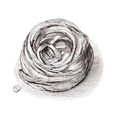 Tagliatelle illustration